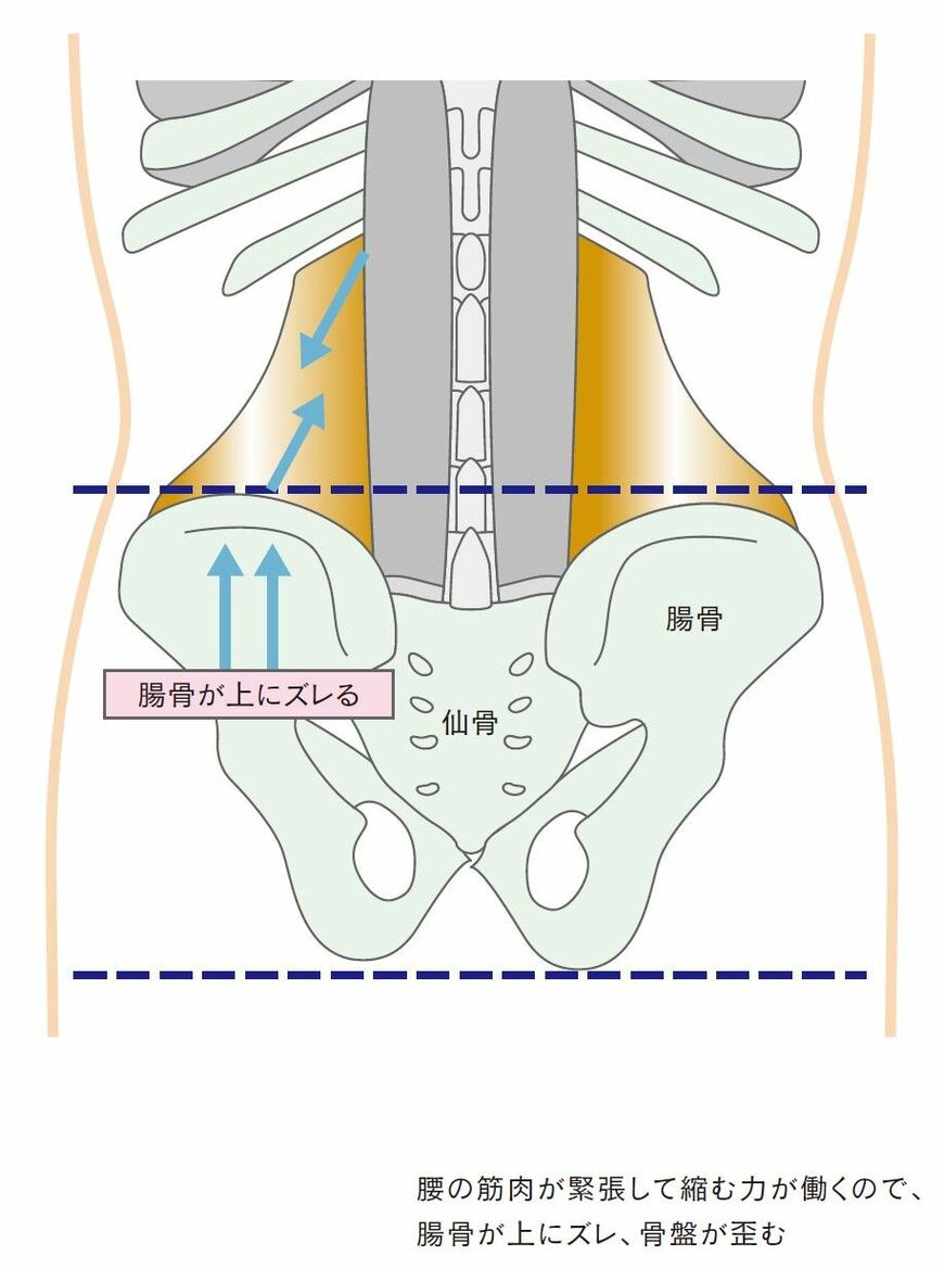 （提供：KADOKAWA）