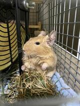 （写真：みきさん）