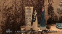 ｢30年分のカビにまみれた浴室｣30分で激変した姿