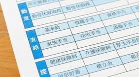 大卒初任給29.5万円で35歳賃金31.7万円という会社が増え中堅層が感じるモヤモヤ感､｢未来の手取り｣で会社を選ぶ①