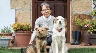 46歳で欧州移住→夫と死別｢73歳彼女の異国生活｣