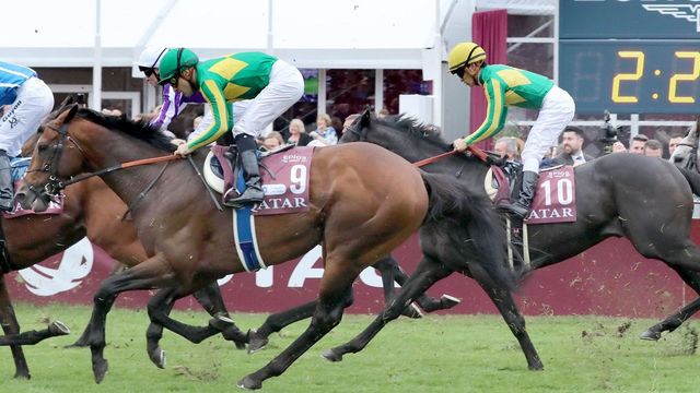 有馬記念 キタサンまつり 後も祭りがあった 今さら聞けない競馬のキホン 東洋経済オンライン 経済ニュースの新基準