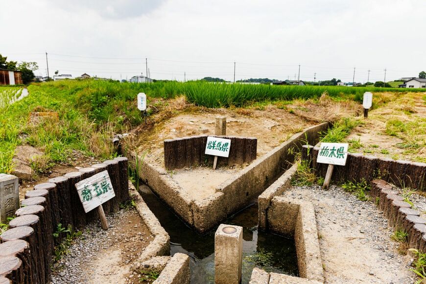 田んぼの真ん中にある三県境。山の奥でなく平地にあるのは珍しい（撮影：鼠入昌史）
