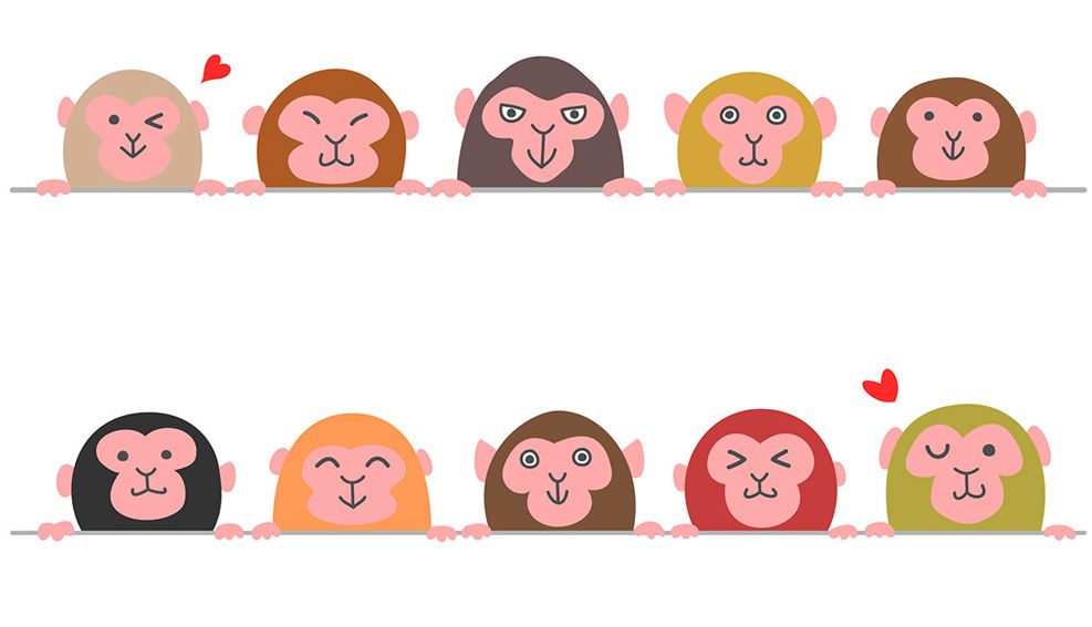 話題沸騰 類人猿分類法 は何がすごいのか プレタポルテ 東洋経済オンライン 社会をよくする経済ニュース