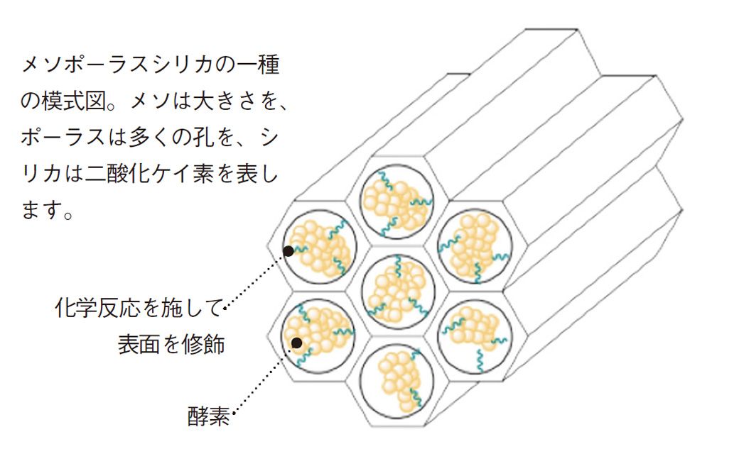 （出所：『素朴な疑問VS東大 「なぜ?」から始まる学術入門』）