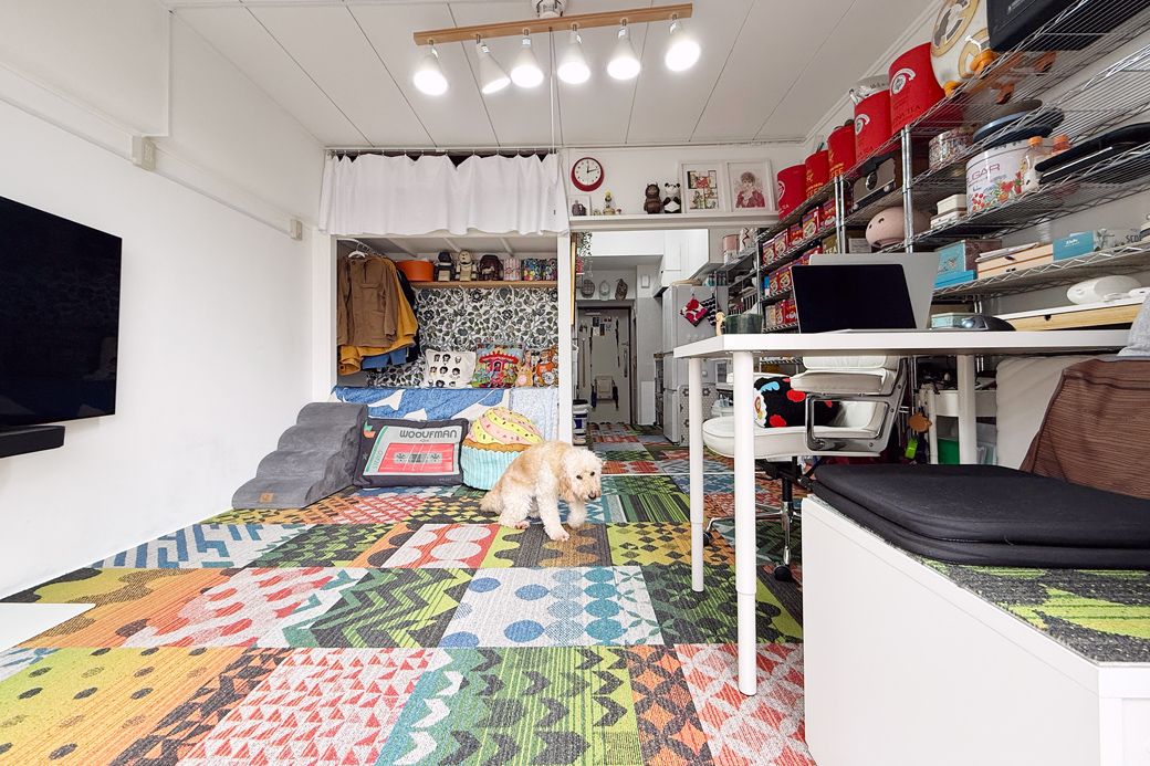 現在の我が家。狭いながらも好きなものだけに囲まれて、機嫌よく暮らせています（筆者撮影）