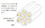 （出所：『素朴な疑問VS東大 「なぜ?」から始まる学術入門』）