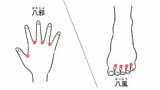 末端の冷えに効くツボ（出所：『自律神経にいいこと大全100』）