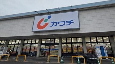 カワチ薬品が｢社長解任の株主提案｣を受けるに至った内憂外患…ドラッグストア業界の先駆者が直面する壁