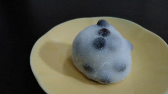 出町ふたばの「名代豆餅」