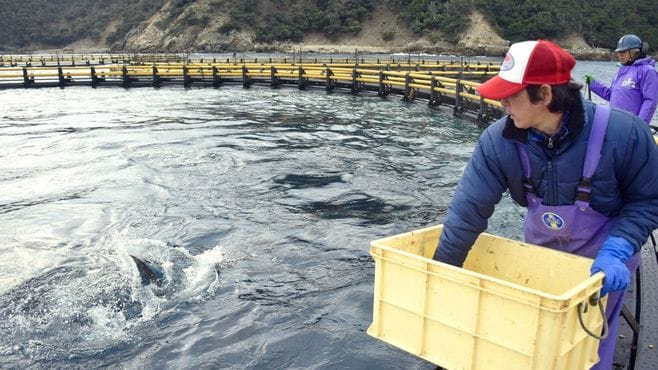 ｢70年ぶり大改革｣で日本漁業は復活するか