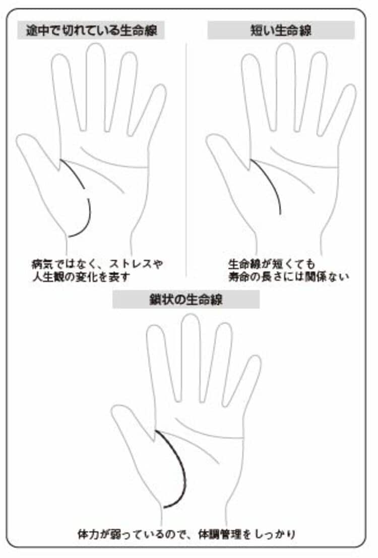 元鑑識の手相家｢生命線が切れている場合｣の判断 長くくっきりした