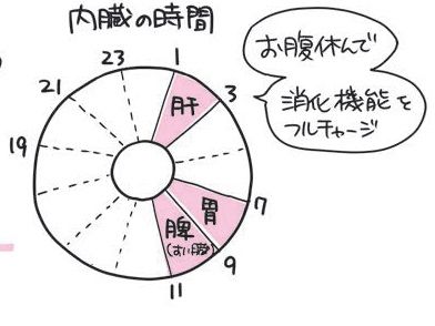 （出所：『自然やせ力 運動オタクが運動やめたらー10kg! やせ細胞を120%呼び覚ます養生』より）