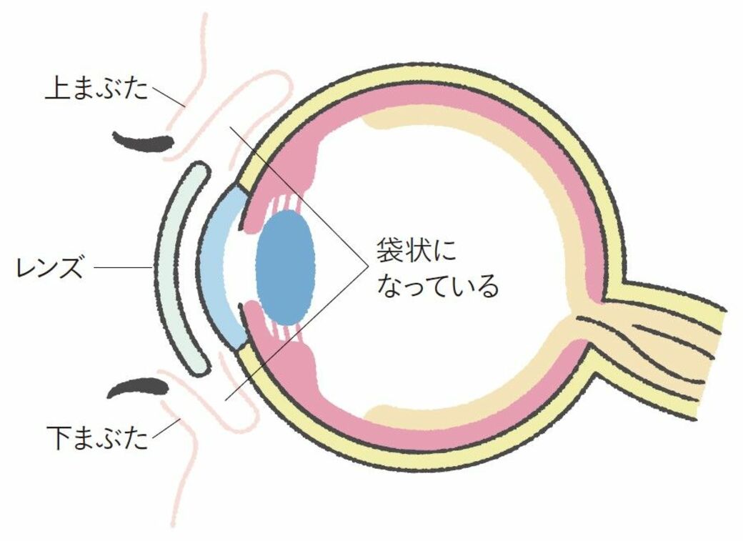 カラコンをつけると黒目に色が移る？｣は本当か まことしやかに囁かれる｢都市伝説｣の真偽（東洋経済オンライン）｜ｄメニューニュース（NTTドコモ）