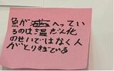 筆者の話を聞いた、先入観がない小学生のコメント（画像：筆者提供）