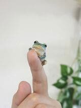 （写真提供：ぴよさん）