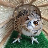（写真提供：ゲンさん）