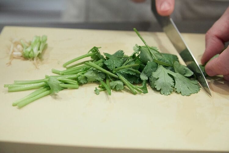 れおんの根っこ