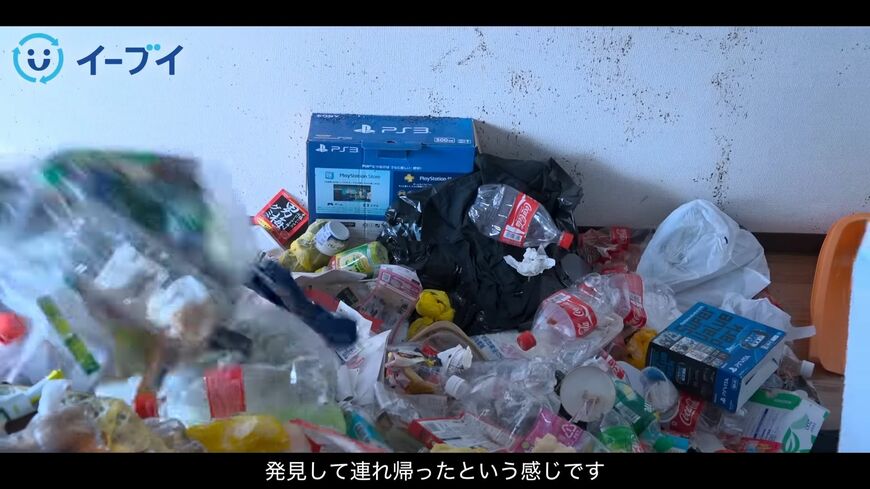 （画像：「イーブイ片付けチャンネル」より）