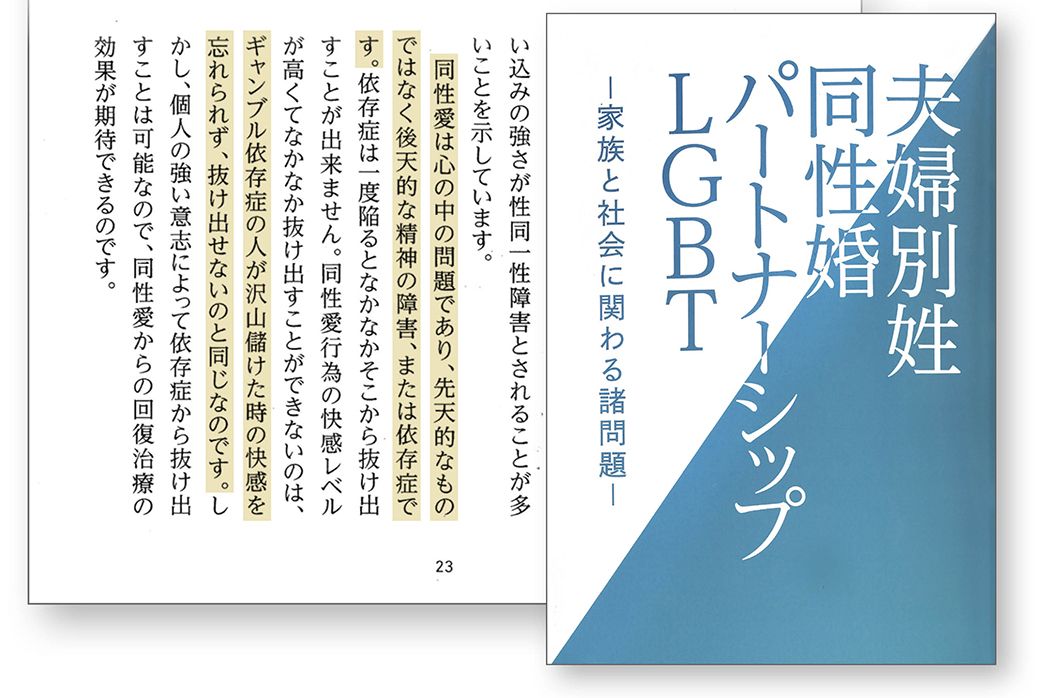 神道政治連盟が作成した冊子にはLGBTQへの差別的な言葉が並ぶ（編集部撮影）