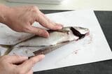 アジの腹を切る