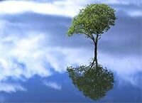 （第2回）オフィスで遭遇する「ストレッサー」を軽くするコツ