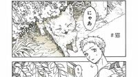 猫との出会いが生んだ孤独青年の人との繋がり 漫画｢特別じゃない日 猫とご近所さん｣