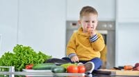 子供の食べ物に過敏すぎる親に教えたい心得 砂場で遊ばせるなら動物の糞に気を付けよう