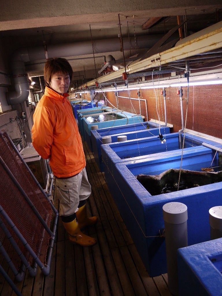 しょぼい水族館が流行る 当たり前の 理由 今週の愛知県人 東洋経済オンライン 社会をよくする経済ニュース