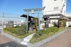 屋上の出世稲荷神社