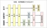 生酒ができるまでフロー