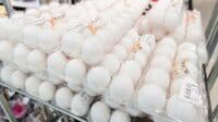 ｢卵が高くなった｣と驚く人が知らない最新事情 物価の優等生に異変､食の調達めぐる厳しい現実