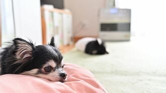 月1000円の差!エアコン･ヒーター｢暖房費｣節約術