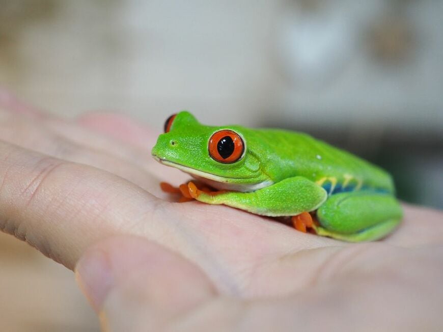 （写真提供：ぴよさん）