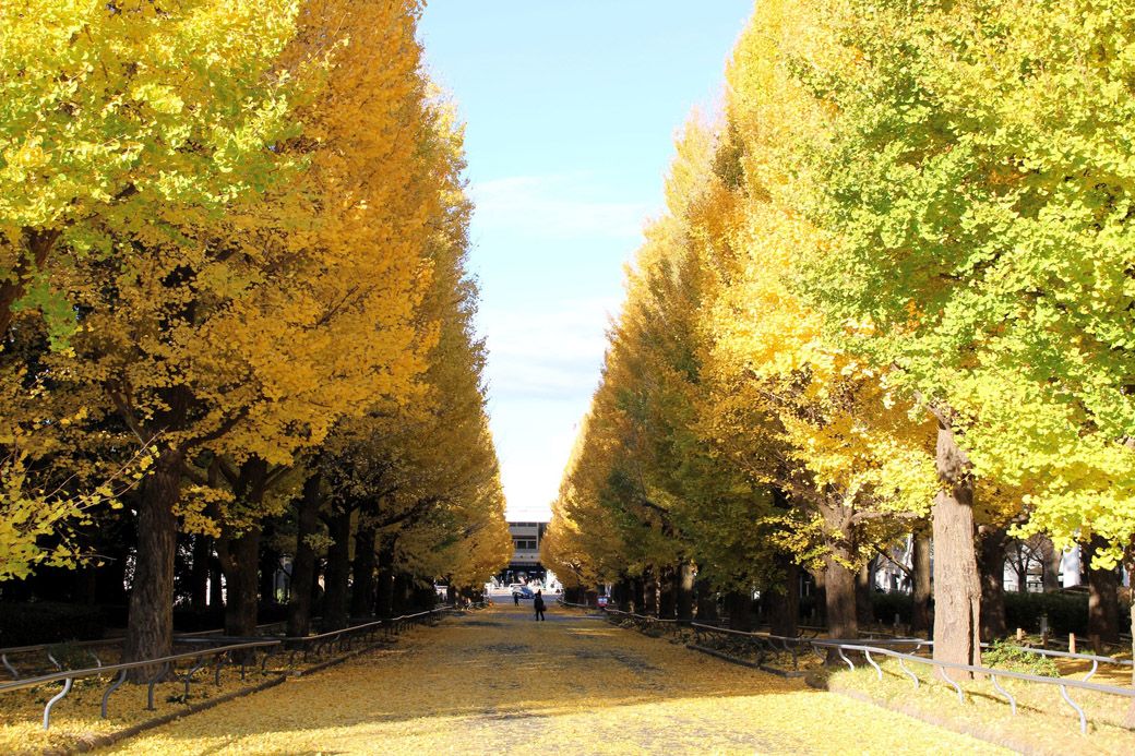 日吉キャンパス