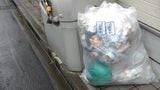 有料シールが貼られて排出されているごみ