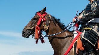 羽柴秀長「秀吉の後継者」と目されるまでの"道程"