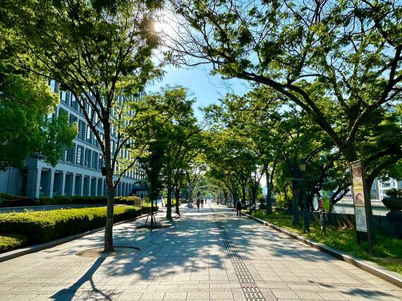 木漏れ日を受ける川沿いのプロムナード