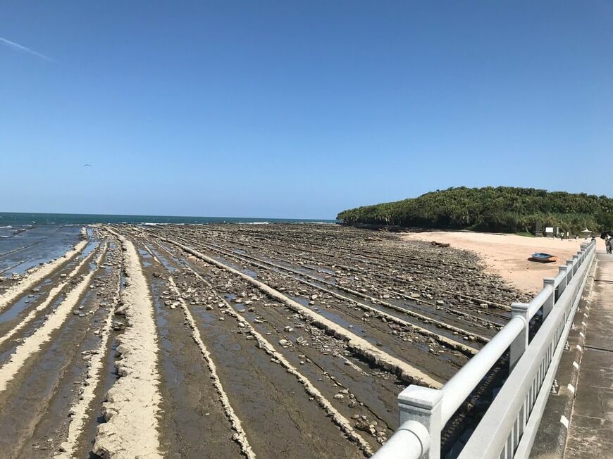 「鬼の洗濯板」と呼ばれる奇石群に囲まれ、亜熱帯性植物が多く茂る青島。島内には青島神社が鎮座する（写真：筆者撮影）