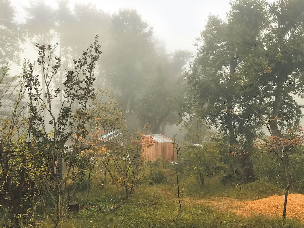 5組の家族が共同で購入した土地のまんなかにDIYしたサウナ小屋（写真：『小屋の時間』）／Mさん）