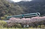 花咲く野岩鉄道川治温泉付近を行く「リバティ」