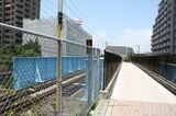 越中島支線の線路（左）と南砂線路公園の遊歩道（右）（筆者撮影）