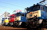 ずらり並んだEF64形1000番台、EF81形、EF510形（撮影：南正時）