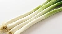 疲労回復・酷暑疲れ解消・冷えた胃腸の温めに役立つ「夏ネギ」漢方に詳しい薬剤師が教える"超カンタンで効果がUPする摂り方"のポイント