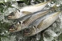 ３２．３％--40代の魚介類摂取量減少率（1997-2007年比）《気になる数字》