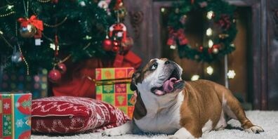 A Very Tolerant Christmas for All Over The World