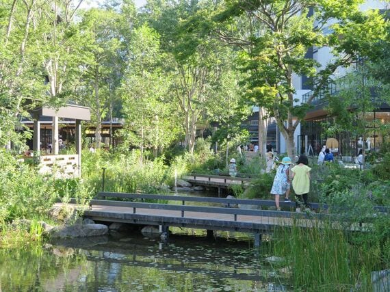GREEN SPRINGS