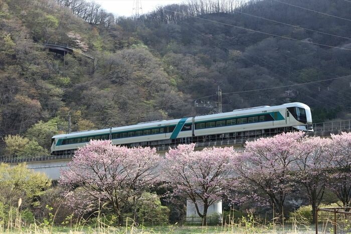 花咲く野岩鉄道川治温泉付近を行く「リバティ」