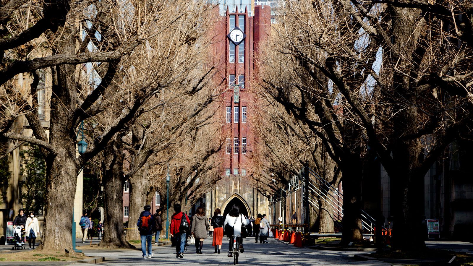 東大女子 が自分の大学名をごまかす理由 学校 受験 東洋経済オンライン 社会をよくする経済ニュース 東大女子 が自分の大学名をごまかす理由 学校 受験 東洋経済オンライン 社会をよくする経済ニュース