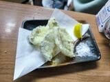 （写真提供：ガラパゴス）